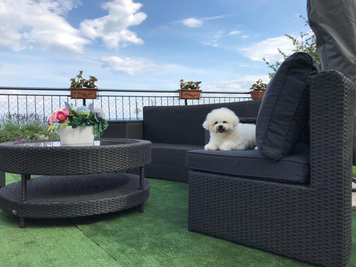 Apartman Nicole Mošćenička Draga Buitenkant foto